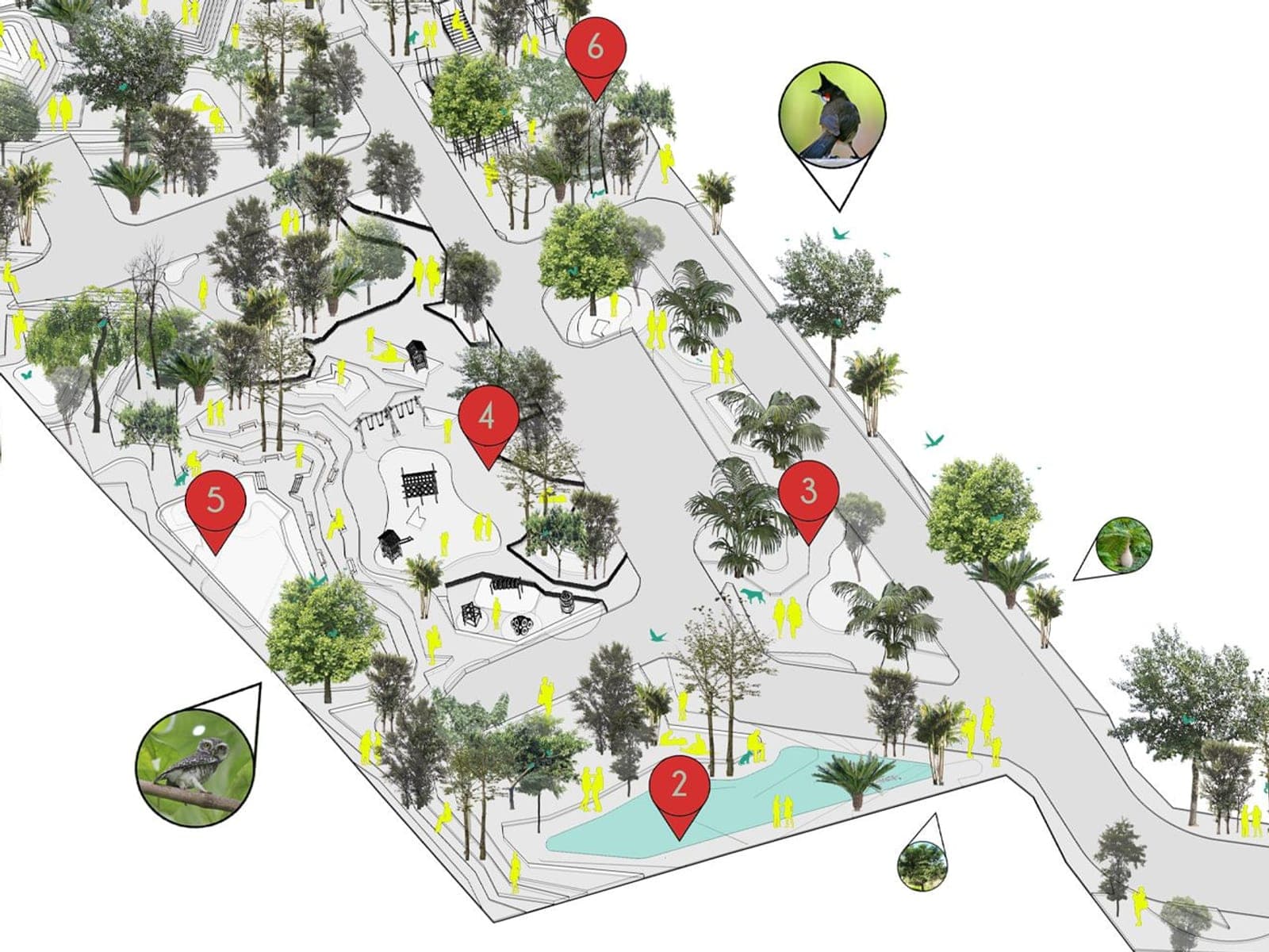 Axonometric of a tree-filled urban park with a playground, pond and winding paths